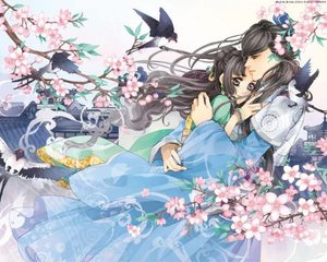 免费三级域名网站